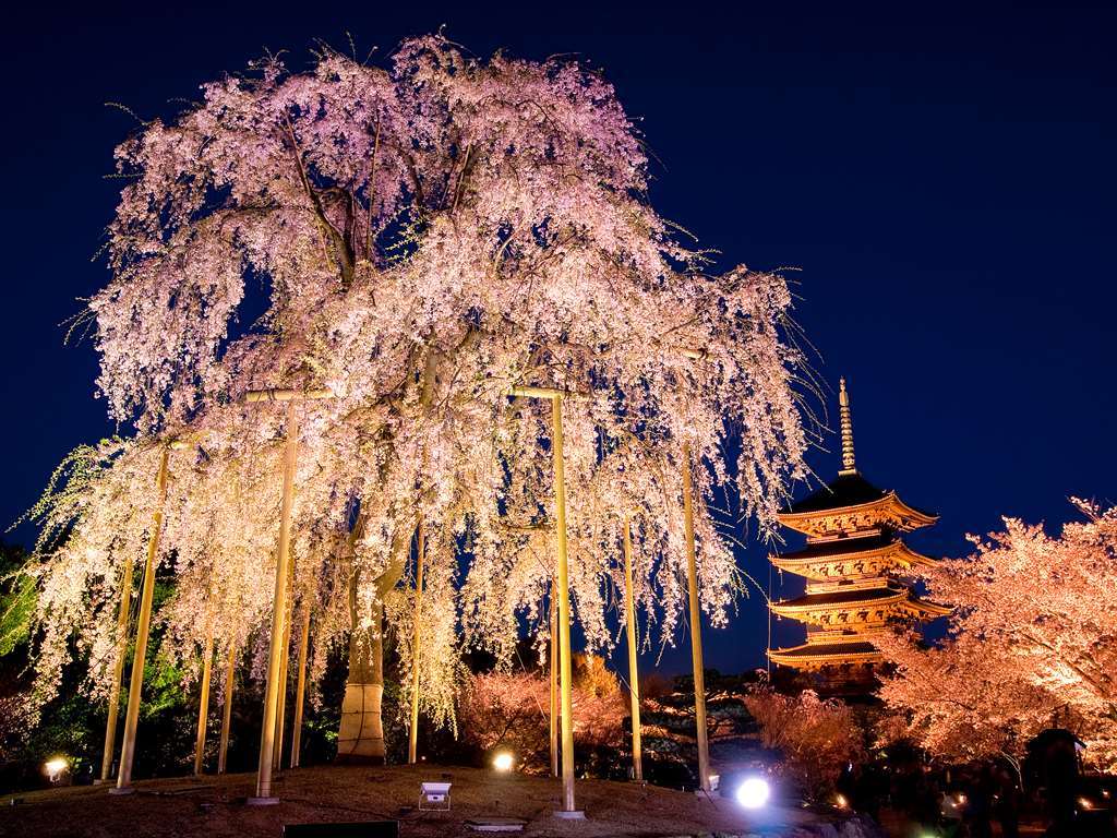 Kyoto Royal Hotel & Spa Экстерьер фото